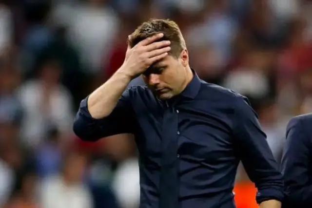 1650150068426077425.jpg 波切蒂诺.jpg